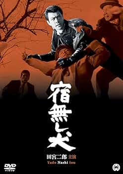 81K+FyceqZL._AC_UF350,